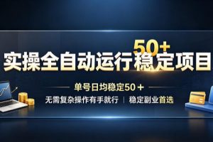 实操全自动运行稳定项目,单号日均稳定50+,无需复杂操作有手就行,稳定副业首选【揭秘】