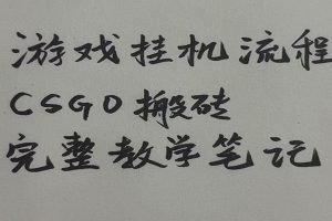 游戏挂机全流程笔记分享,CSGO游戏搬砖,小白看了当天学会见收益