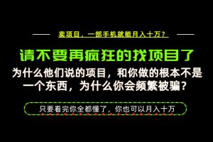 为什么做项目的人大多都是炮灰？为什么只有卖项目才能稳？看完你也可以月入10W+【揭秘】