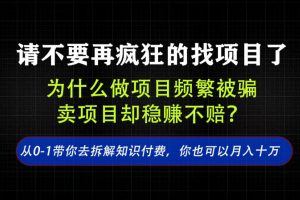 找项目？别傻了！卖项目才是真的一本万利！看完你全都懂了【揭秘】