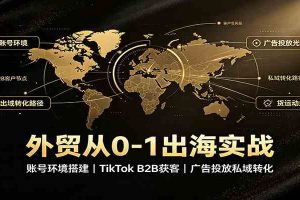 外贸从0-1出海实战：账号环境搭建，TikTok B2B获客，广告投放私域转化