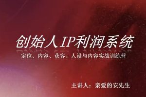 创始人IP利润系统8月训练营,定位、内容、获客、人设与内容实战训练营