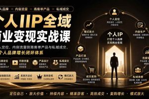 (20024期)个人IIP全域商业变现实战课 (无水印):从个人定位、内容流量到高客单产品与私域成交,搭建个人品牌增长闭环体系