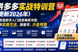 (20092期)拼多多实战特训营(更新26年0827):不管是新手入门或老商家冲量,都有实操方法,跟着学,少走弯路