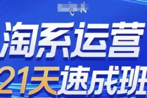 淘系运营21天速成班,0基础轻松搞定淘系运营,不做假把式,快速复制落地(更新26年8月)