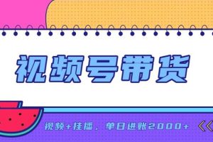 （20344期）日入2000+的副业，视频号带货，一部手机改写人生篇章，无需投资
