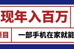 通过网创平台“卖项目”实现年入百万，一部手机在家就能做！